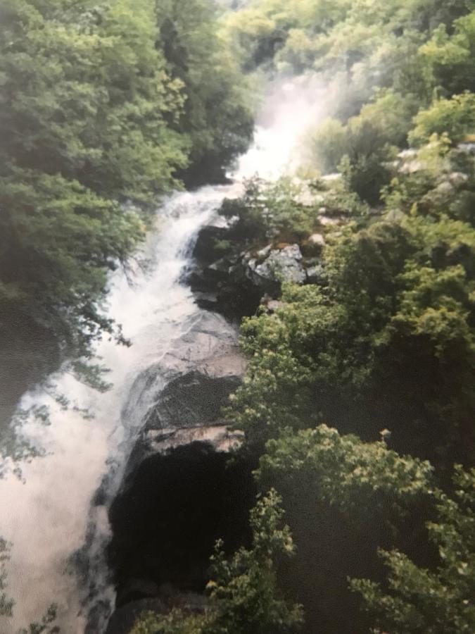 ZicavoLe Paradis住宿加早餐旅馆 外观 照片